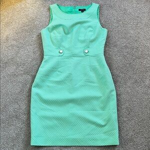 Tahari ADORABLE Pistachio Green Textured Polka Dot Waisted Sheath Dress sz10